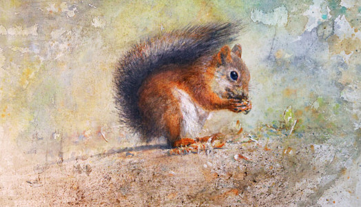 Collector (Red Squirrel) / Samlaren (Ekorre)