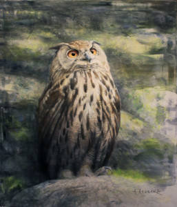 Eagle-owl / Berguv