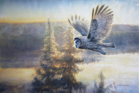 Northern dusk, Great grey owl / Skymning i norr, lappuggla