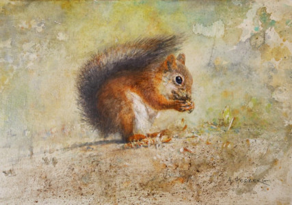 Squirrel / Ekorre