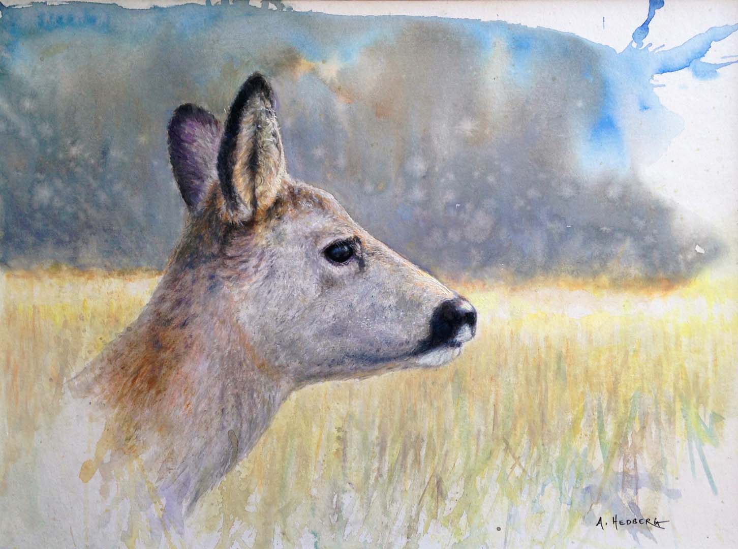 Roe deer